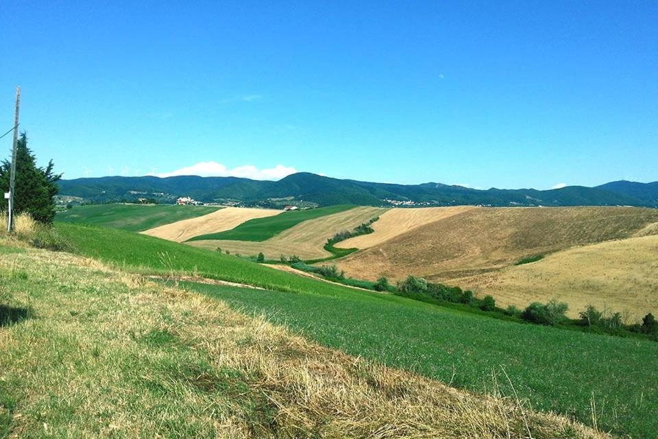 Villaggio Residence La Pieve Di Pomaia Pokoj fotografie